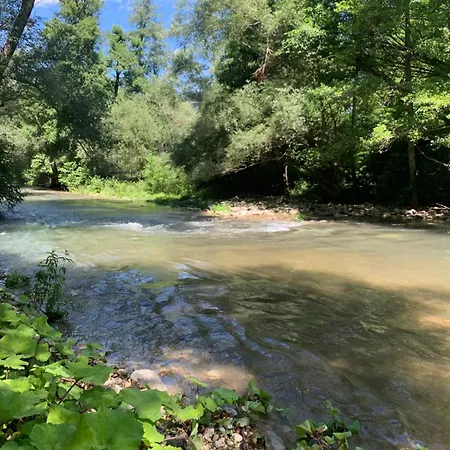 La Casa Del Pino Argentato Ateleta