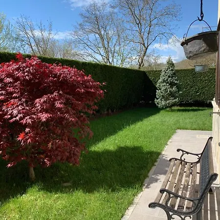 La Casa Del Pino Argentato