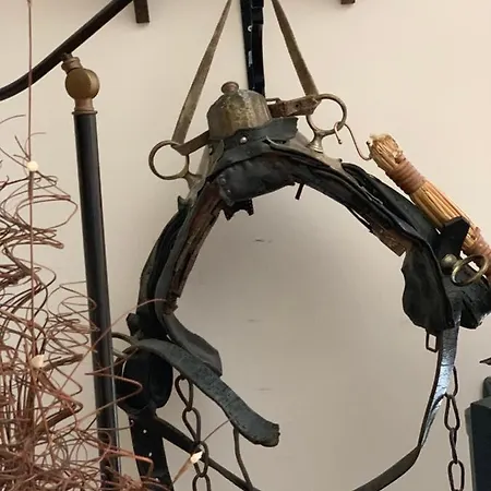 La Casa Del Pino Argentato Διαμέρισμα Ateleta