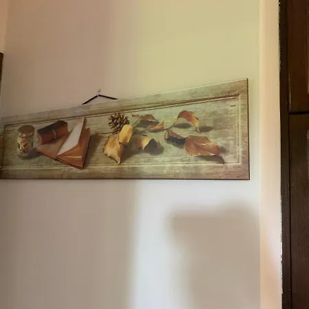 La Casa Del Pino Argentato *