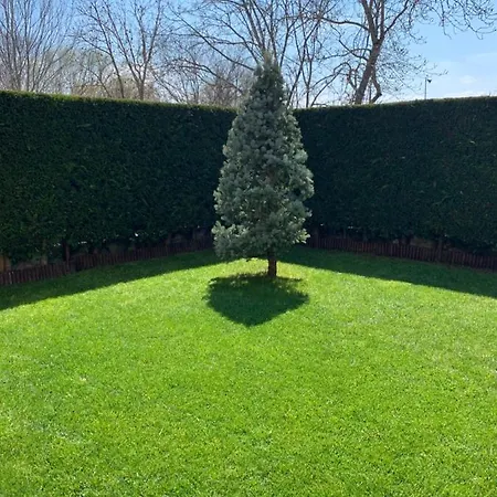 La Casa Del Pino Argentato *