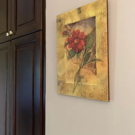 La Casa Del Pino Argentato