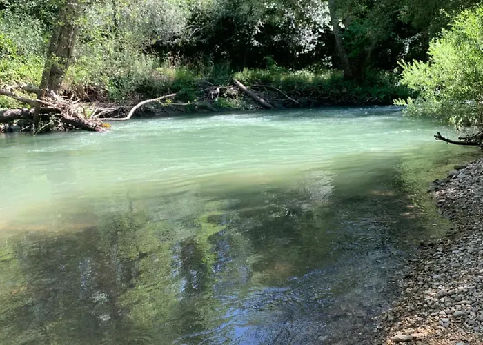 La Casa Del Pino Argentato Ateleta