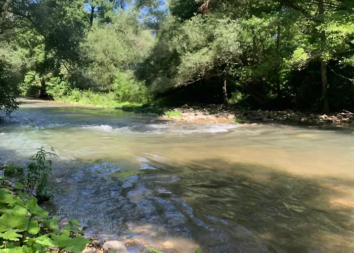 La Casa Del Pino Argentato Ateleta