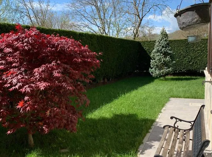 La Casa Del Pino Argentato