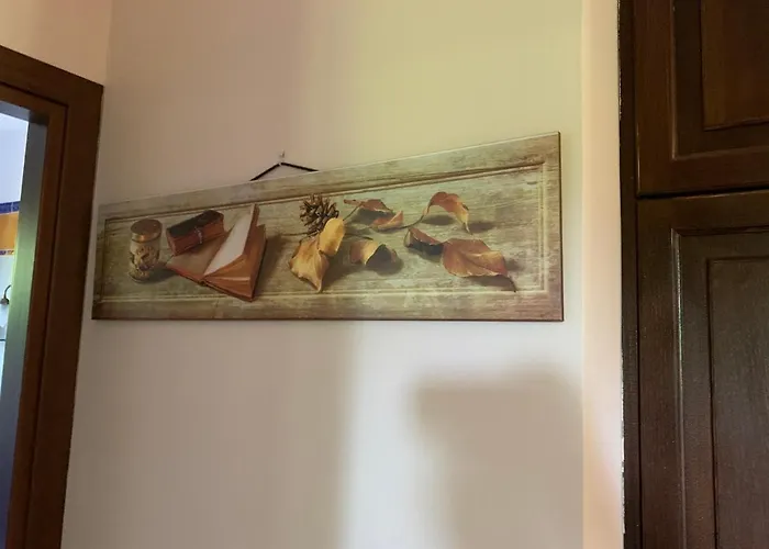 La Casa Del Pino Argentato *