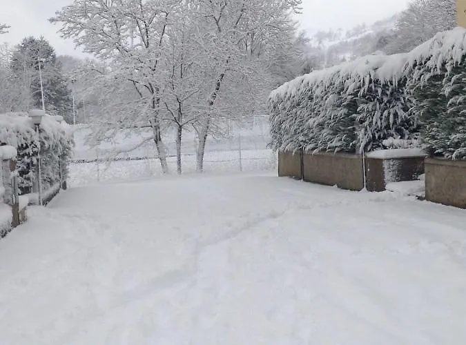La Casa Del Pino Argentato * Ateleta