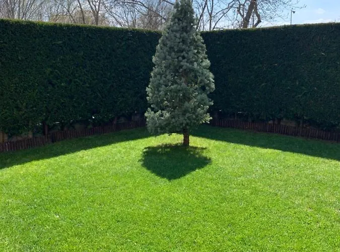 La Casa Del Pino Argentato *