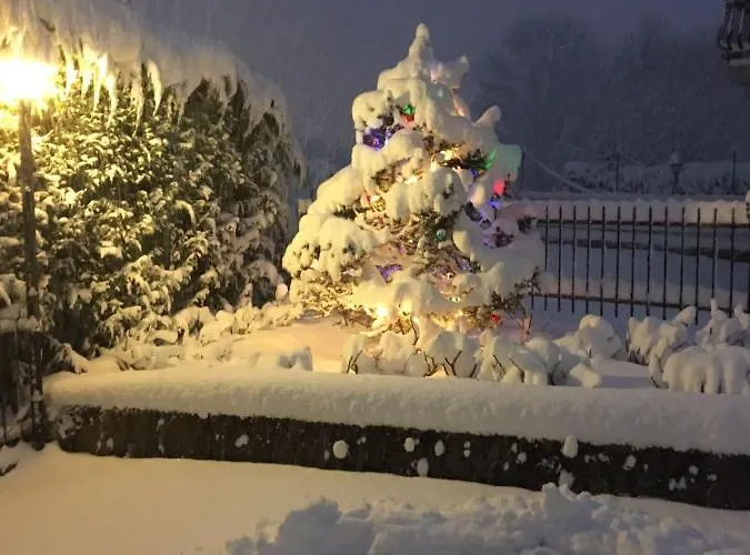 Apartman La Casa Del Pino Argentato *